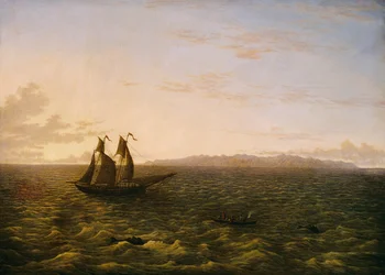 Die Insel Madeira